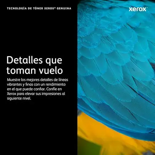 Xerox B225/B230/B235 Toner Tambor de Imagen Original 013R00691 12000 páginas